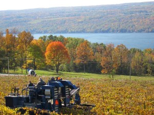 Finger Lakes country(Credit: Finger Lakes Distillery)